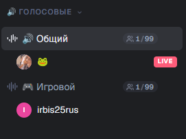 Voice channels: General and Gaming